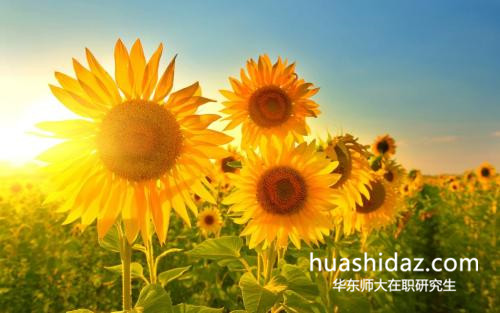 華東師范大學在職研究生招生人數有限制嗎？