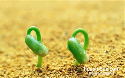 華東師范大學(xué)在職研究生學(xué)費高嗎?